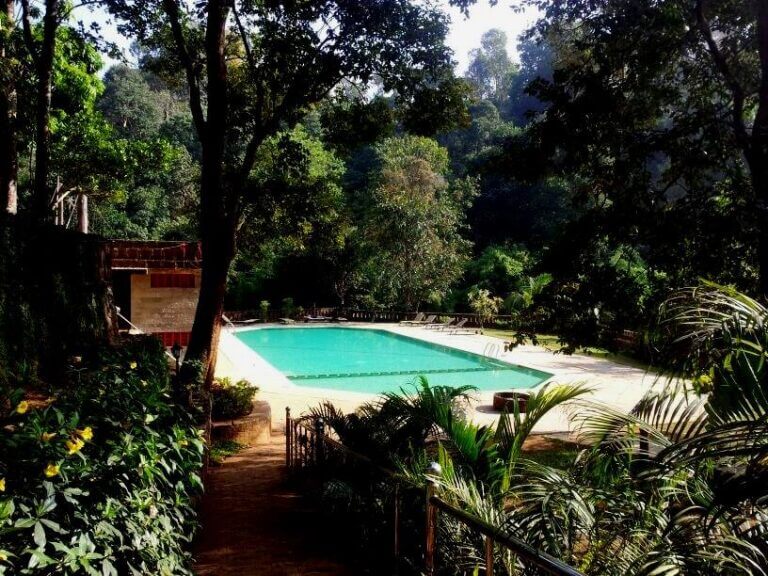 1511285_250140331820898_1068682378_n